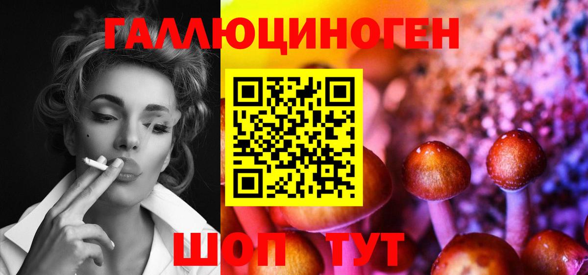 Галлюциногенные грибы Cubensis  Вход с VPN  Феодосия 