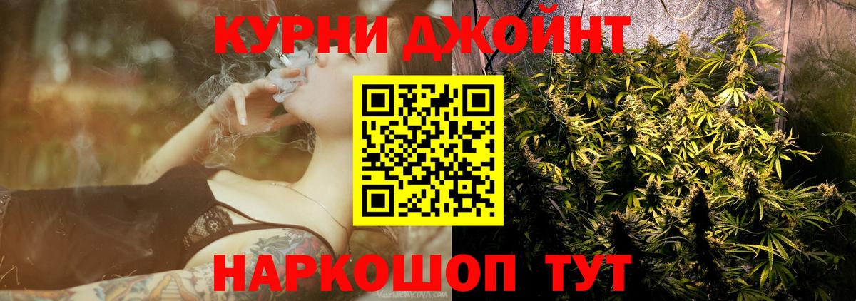 Бошки Шишки планчик Феодосия